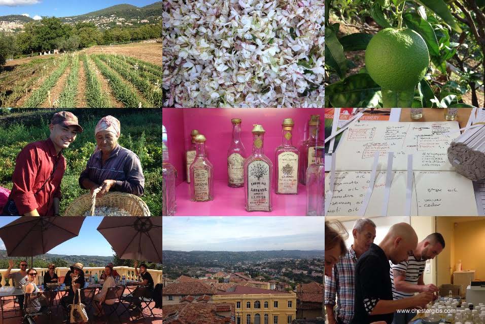 GIP summer school copy.jpg